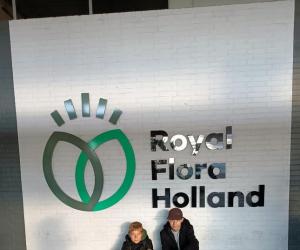 Foto belgie 4