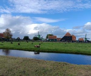 Foto Belgie 3