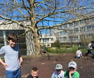 Foto egg hunt2