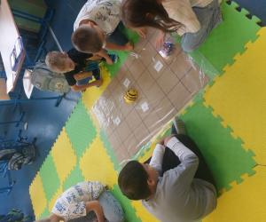 beebot-2b-26-1